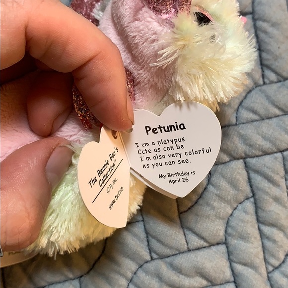 beanie boo petunia platypus